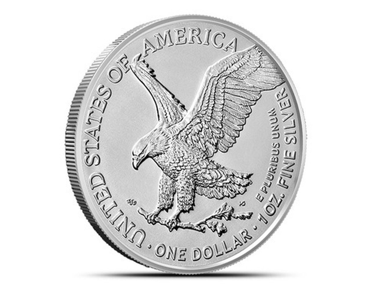 Home 5 2021 Silver Eagle TYPE 2